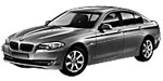 BMW F10 P1A83 Fault Code